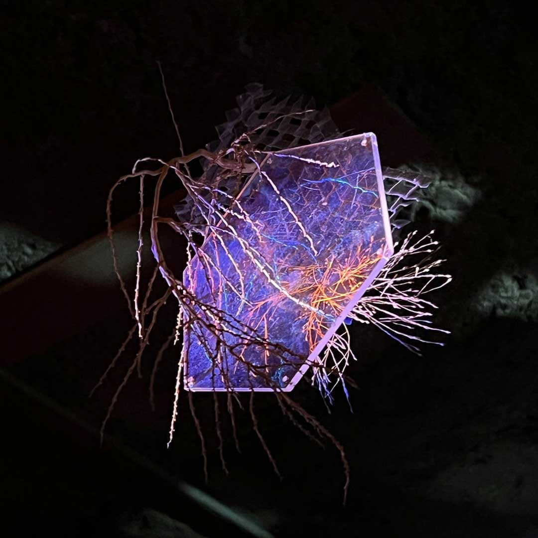 Schwebeteilchen Card Bild